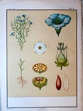 Tavola gigante paravia usato  Montemassi