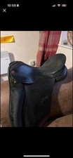 Albion legend dressage for sale  WALSALL