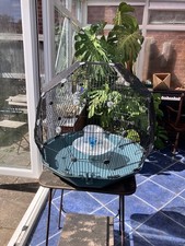 Omlet geo bird for sale  MALTON
