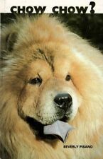Chow chow cane usato  Italia