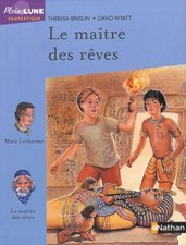 Maître rêves d'occasion  France