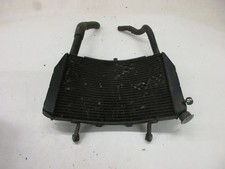 Wasserkühler kühler yamaha gebraucht kaufen  Ellwangen (Jagst)