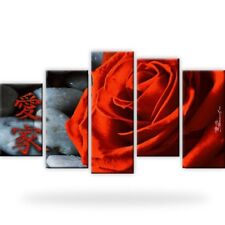 Rote rose bild gebraucht kaufen  Deutschland
