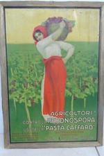 Insegna epoca agricoltori usato  Santena