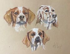 Chiens henri fanjul d'occasion  Marseille X