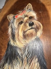 Yorkie dog pup for sale  Norfolk