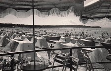 Meschers gironde plages d'occasion  France