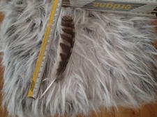 Mäusebussard feder schmuck gebraucht kaufen  Paderborn