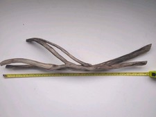 Driftwood sticks curly for sale  TAUNTON