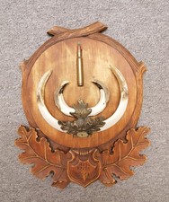 Wildschwein trophäe gebraucht kaufen Wildschwein trophäe gebraucht kaufen  Sachsenhagen