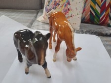 beswick foal for sale beswick foal for sale BRISTOL
