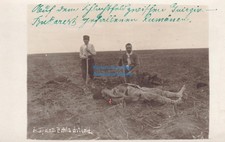 Fotoak dragoner regiment gebraucht kaufen  Deutschland