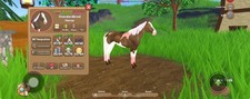 Iuh wild horse for sale  Wellington
