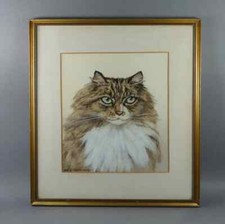 Watercolour maine coon for sale  DURSLEY