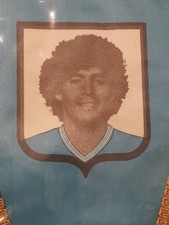 Gagliardetto del napoli usato  Vittorito