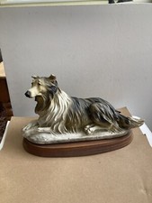 Relaxing rough collie for sale  SHANKLIN