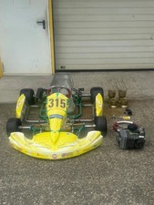 Tony kart rennkart gebraucht kaufen  Heppenheim (Bergstraße)