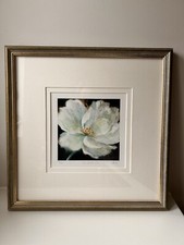 Chelsea flower show for sale  BERKHAMSTED