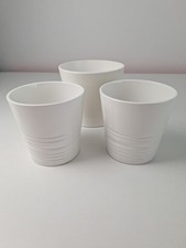 Ikea muskot plant for sale  CHURCH STRETTON