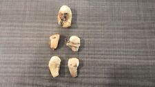 Wild elk teeth for sale  Casper