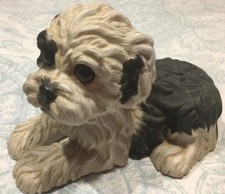 Precious enesco purebred for sale  Garfield