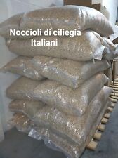 Noccioli ciliegia italiani usato  Bologna