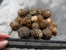Oregon thundereggs 7.40 for sale  Hood River