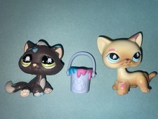 Lot chats accessoire d'occasion  Pfastatt