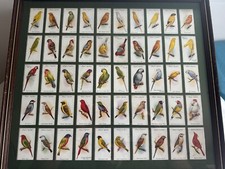 Player aviary cage for sale  LEAMINGTON SPA