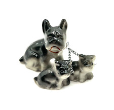 French bulldog puppies for sale  New Castle