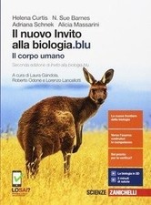 Nuovo invito alla usato  Acqualagna