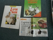 Lapin nain animaux d'occasion  Audenge