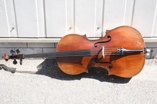 cello gebraucht kaufen cello gebraucht kaufen Neu-Ulm