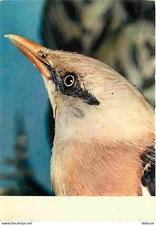 Animaux oiseaux oiseaux d'occasion  Fruges