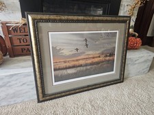 Mallards sundown james for sale  Oxford