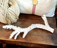 Natural white coral for sale  GRAVESEND