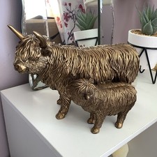 Highland cow calf for sale  FELIXSTOWE