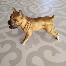 chien boxer d'occasion chien boxer d'occasion  Ploërmel