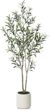 5ft artificial olive for sale 5ft artificial olive for sale  SALFORD
