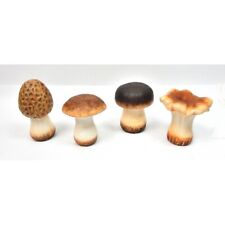 Lot champignons terre d'occasion  Dourges