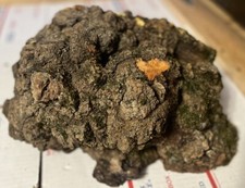 Rock maple burl. for sale  Montgomery Center