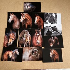 Horse art prints for sale  ELY