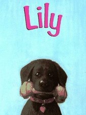 Lily by Abigail Thomas comprar usado  Enviando para Brazil