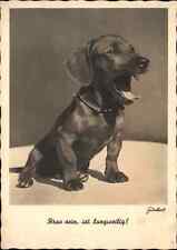 Vintage ALEMÃO Continental RPPC Dachshund Filhote de Cachorro Bocejo comprar usado  Enviando para Brazil