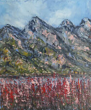 Quadro moderno mountain usato  Sant Anna d'Alfaedo