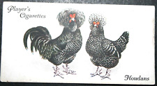 Houdan chickens poultry for sale  DERBY