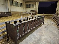 Mangiatoia auto cattura usato  Pesaro