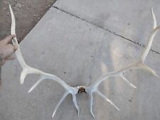 Full elk rack for sale  Payson