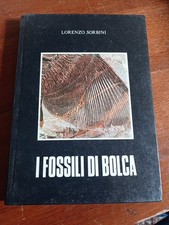 Fossili bolca l.sorbini usato  Verrua Po