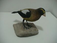 Evening grosbeak hand for sale  Monroeville